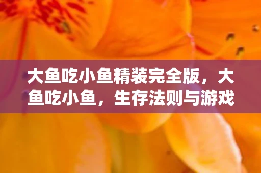 大鱼吃小鱼精装完全版，大鱼吃小鱼，生存法则与游戏规则的完美演绎