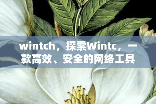 wintch,探索Wintc,一款高效、安全的网络工具 wintch,探索Wintc,一款高效、安全的网络工具