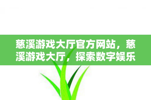 慈溪游戏大厅官方网站，慈溪游戏大厅，探索数字娱乐的新领地