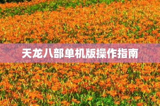 天龙八部单机版操作指南图片