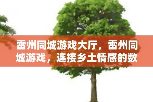 雷州同城游戏大厅，雷州同城游戏，连接乡土情感的数字桥梁