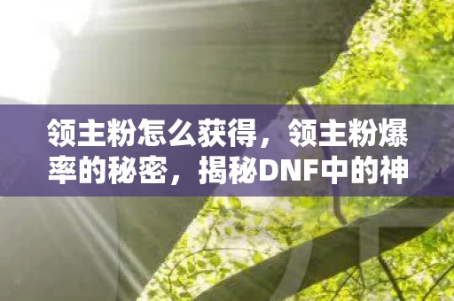 领主粉怎么获得，领主粉爆率的秘密，揭秘DNF中的神秘掉落率