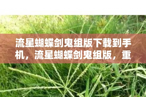 流星蝴蝶剑鬼组版下载到手机，流星蝴蝶剑鬼组版，重温经典，感受武侠之魂