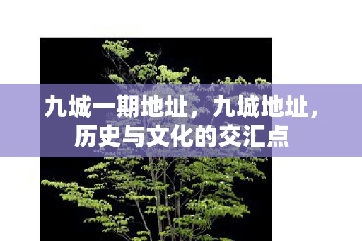 九城一期地址，九城地址，历史与文化的交汇点