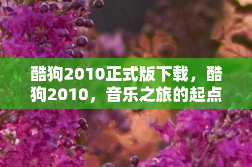 酷狗2010正式版下载，酷狗2010，音乐之旅的起点