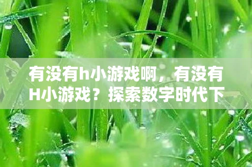有没有h小游戏啊，有没有H小游戏？探索数字时代下的娱乐边界