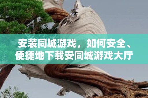 安装同城游戏，如何安全、便捷地下载安同城游戏大厅