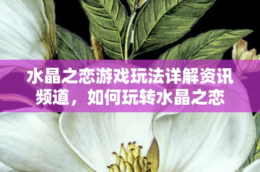 水晶之恋游戏玩法详解资讯频道图片