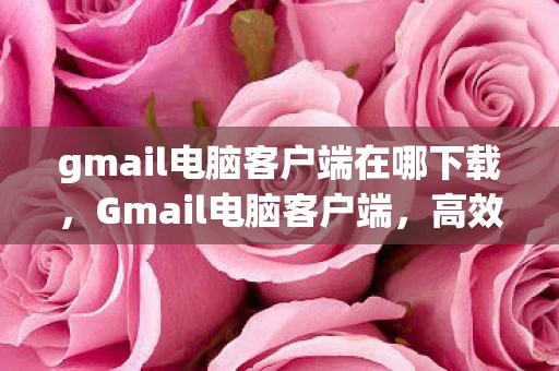 gmail电脑客户端在哪下载，Gmail电脑客户端，高效管理邮件的必备工具