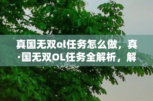 真国无双ol任务怎么做，真·国无双OL任务全解析，解锁历史战役的奥秘