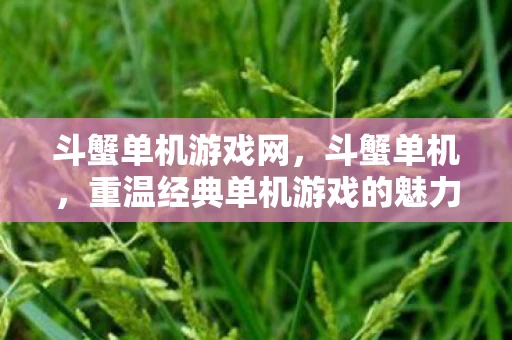 斗蟹单机游戏网，斗蟹单机，重温经典单机游戏的魅力