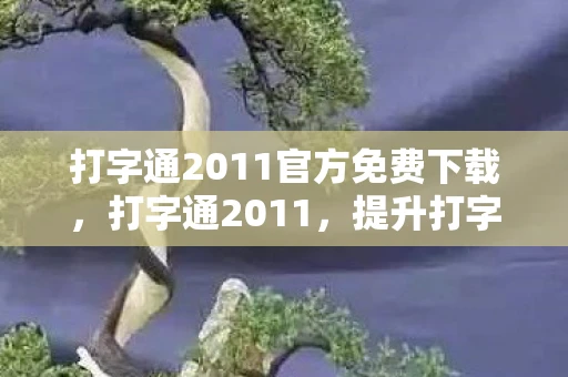 打字通2011官方免费下载，打字通2011，提升打字效率的必备工具