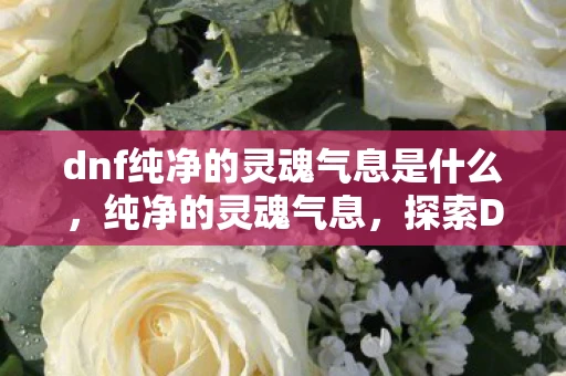 dnf纯净的灵魂气息是什么,纯净的灵魂气息,探索DNF中的神秘力量 dnf纯净的灵魂气息是什么,纯净的灵魂气息,探索DNF中的神秘力量