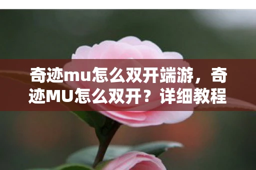 奇迹mu怎么双开端游，奇迹MU怎么双开？详细教程与注意事项