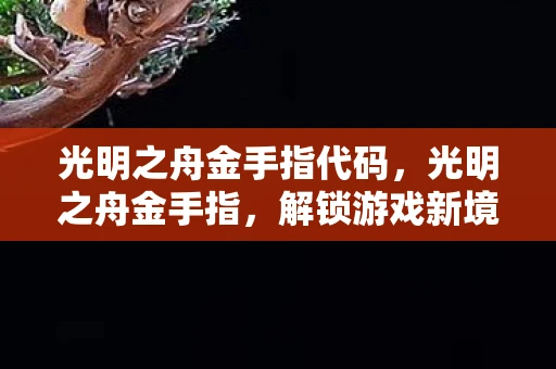 光明之舟金手指代码,光明之舟金手指,解锁游戏新境界的神奇工具 光明之舟金手指代码,光明之舟金手指,解锁游戏新境界的神奇工具