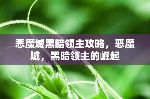 恶魔城黑暗领主攻略，恶魔城，黑暗领主的崛起