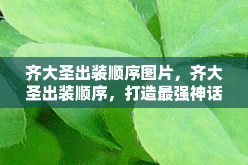 齐大圣出装顺序图片，齐大圣出装顺序，打造最强神话英雄