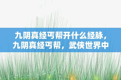 九阴真经丐帮开什么经脉,九阴真经丐帮,武侠世界中的传奇门派 九阴真经丐帮开什么经脉,九阴真经丐帮,武侠世界中的传奇门派