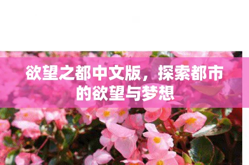 探索都市的欲望与梦想图片