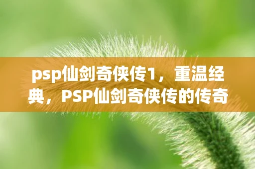 psp仙剑奇侠传1，重温经典，PSP仙剑奇侠传的传奇之旅