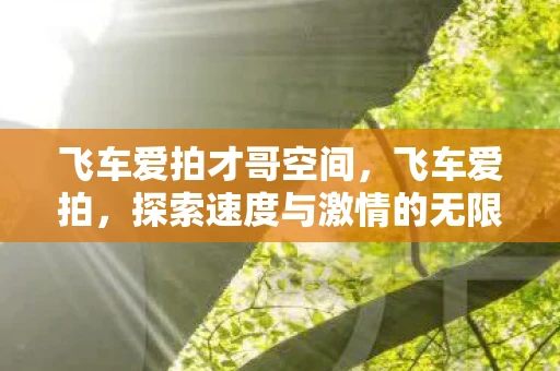 飞车爱拍才哥空间,飞车爱拍,探索速度与激情的无限可能 飞车爱拍才哥空间,飞车爱拍,探索速度与激情的无限可能