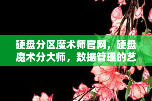 硬盘分区魔术师官网,硬盘魔术分大师,数据管理的艺术 硬盘分区魔术师官网,硬盘魔术分大师,数据管理的艺术
