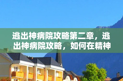 逃出神病院攻略第二章，逃出神病院攻略，如何在精神疗养院中寻求自由与重生