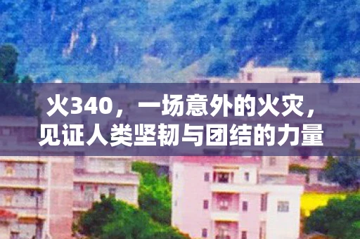 火340，一场意外的火灾，见证人类坚韧与团结的力量