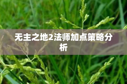 无主之地2法师加点策略分析图片