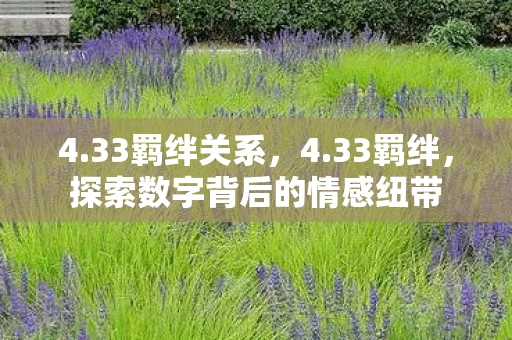 4.33羁绊关系，4.33羁绊，探索数字背后的情感纽带