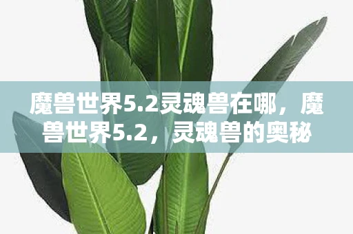 魔兽世界5.2灵魂兽在哪，魔兽世界5.2，灵魂兽的奥秘与魅力