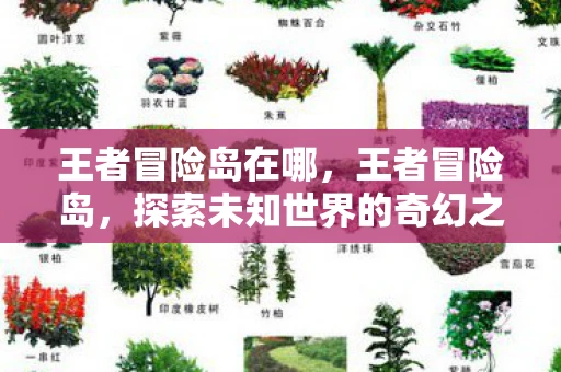 王者冒险岛在哪,王者冒险岛,探索未知世界的奇幻之旅 王者冒险岛在哪,王者冒险岛,探索未知世界的奇幻之旅