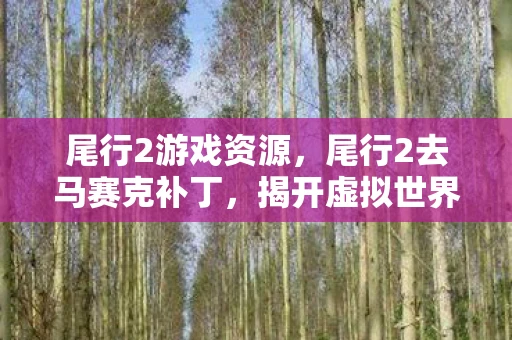 尾行2游戏资源，尾行2去马赛克补丁，揭开虚拟世界的神秘面纱
