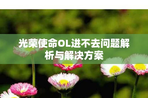 光荣使命OL进不去问题解析与解决方案图片