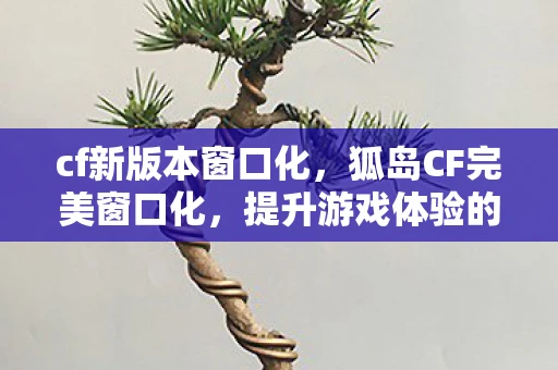 cf新版本窗口化，狐岛CF完美窗口化，提升游戏体验的必备技巧