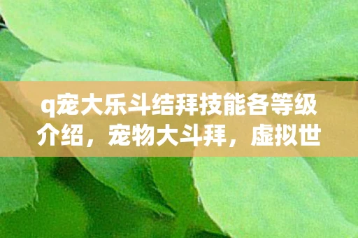 q宠大乐斗结拜技能各等级介绍，宠物大斗拜，虚拟世界中的情感纽带