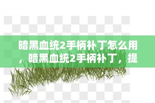 暗黑血统2手柄补丁怎么用，暗黑血统2手柄补丁，提升游戏体验的必备利器