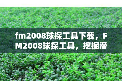 fm2008球探工具下载，FM2008球探工具，挖掘潜力新星，打造梦幻阵容