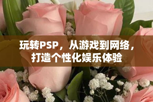 玩转PSP，从游戏到网络，打造个性化娱乐体验