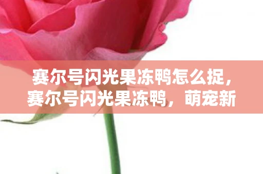 赛尔号闪光果冻鸭怎么捉,赛尔号闪光果冻鸭,萌宠新星的闪耀登场 赛尔号闪光果冻鸭怎么捉,赛尔号闪光果冻鸭,萌宠新星的闪耀登场