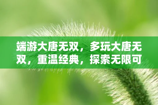 端游大唐无双，多玩大唐无双，重温经典，探索无限可能