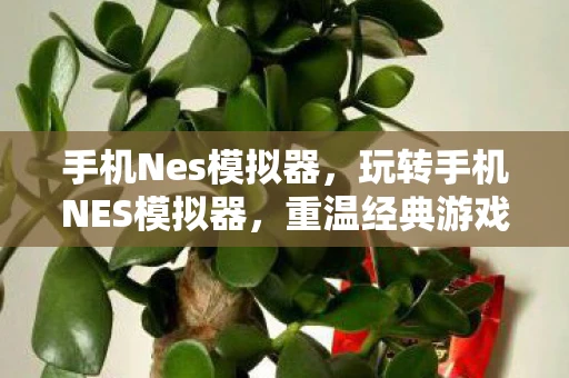 手机Nes模拟器，玩转手机NES模拟器，重温经典游戏的新方式