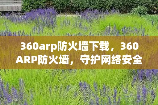 360arp防火墙下载，360ARP防火墙，守护网络安全的重要防线