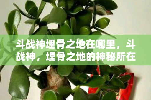 斗战神埋骨之地在哪里,斗战神,埋骨之地的神秘所在 斗战神埋骨之地在哪里,斗战神,埋骨之地的神秘所在