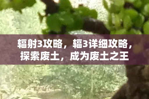 辐射3攻略，辐3详细攻略，探索废土，成为废土之王