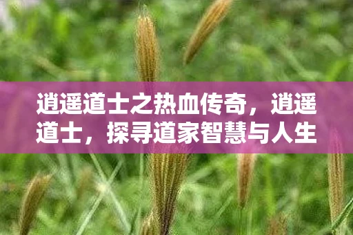 逍遥道士之热血传奇，逍遥道士，探寻道家智慧与人生真谛