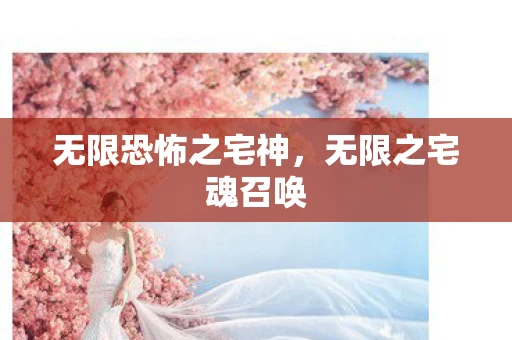 无限恐怖之宅神，无限之宅魂召唤