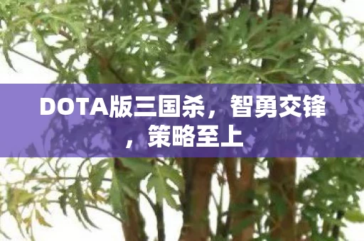 DOTA版三国杀图片