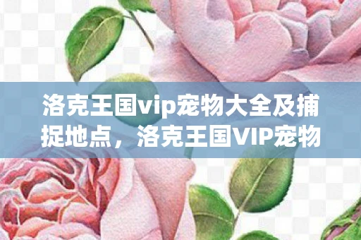 洛克王国vip宠物大全及捕捉地点，洛克王国VIP宠物全解析，打造你的专属宠物军团