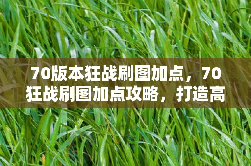 70版本狂战刷图加点，70狂战刷图加点攻略，打造高效战斗体验